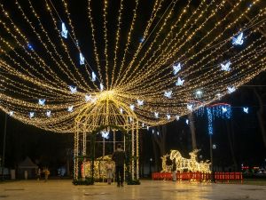 Highlight Your Driveway With Professional LED Lights