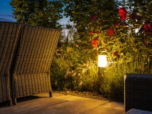 Enhance Your Paloma Lake Backyard With LEDs